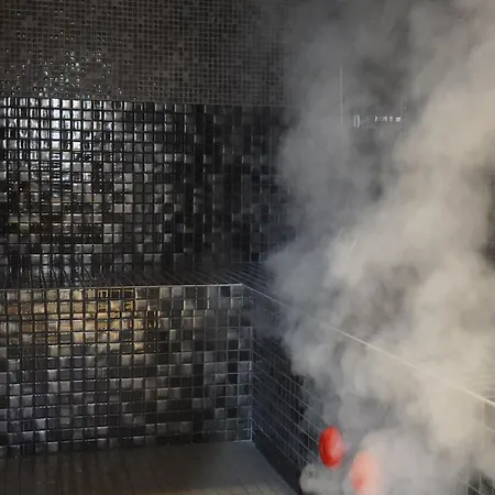 Dom wakacyjny Evasion Luxueuse Avec Privatif, Golf Et Activites Pour Tous Au Chambon-sur-lignon - Fr-1-582-369 *